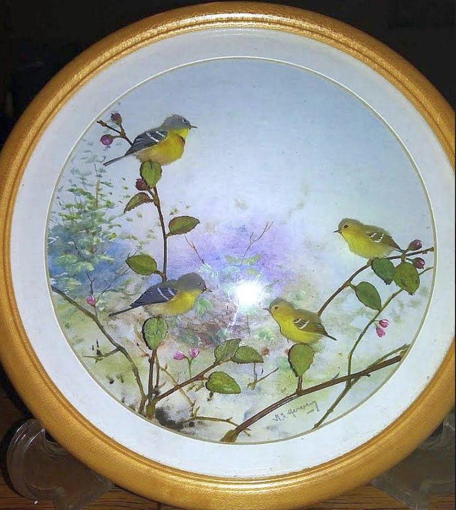 Indigo Buntings and Young (7-inch)